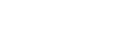 03 - nvs logos_3x